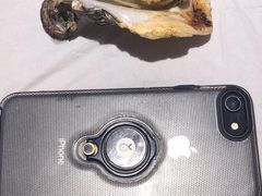 -烧蠔帮·生蚝海鲜牌档(观海店)