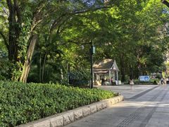 -广州珠江公园