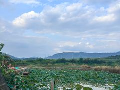 -光明小镇欢乐田园