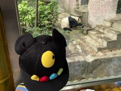 -成都动物园