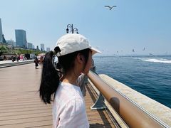 -东港音乐喷泉广场