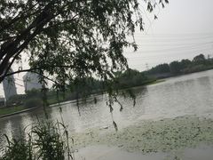 -九里河湿地公园
