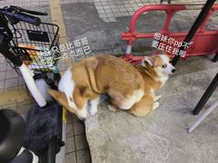 -小梁哥云吞面(黄贝岭店)