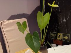 -眉州东坡(通州店)
