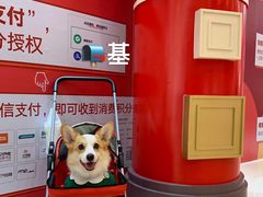 -深圳龙华星河COCO City(民治店)