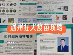 -首都医科大学附属北京潞河医院