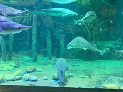 -华夏文旅海洋公园