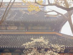 -西园戒幢律寺
