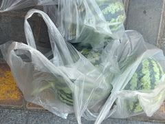 -都江堰石锅鱼