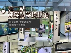 -成都大熊猫繁育研究基地