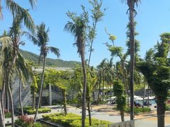 -半山半岛洲际度假酒店·观海廊