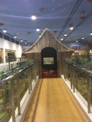 -卡通尼·Safari非洲探索乐园·生日会(金桥国际商业广场店)