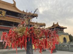 -南京市江宁方山