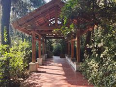 -铁山坪森林公园