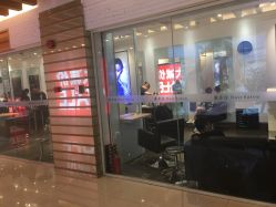 -东方麒麟·潘多拉SALON