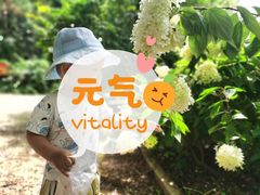 -燕塞湖鸟语林景区