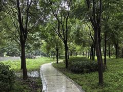 -永旺梦乐城(金银潭店)