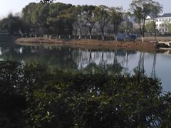 景点-金银湖国家城市湿地公园
