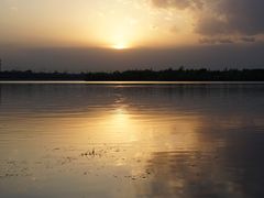 -丁香湖公园