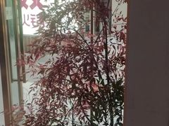 -阿五黄河大鲤鱼(海尚店)
