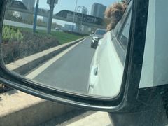 -威德路二手车(二环东路店)