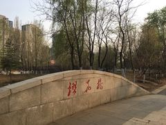 -长白岛森林公园