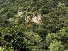 -太平万花山景区