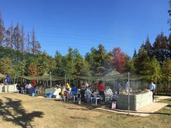 -上海长兴岛郊野公园