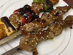 羊肉串-莎车清真美食