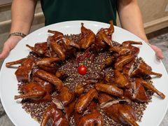 -朱记乳鸽王·非遗石岐乳鸽·全鸽宴(大兴旗舰店)