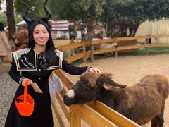 -HERRE·FARM 赫尔露营农场·团建聚会包场