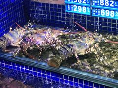 -青蓬蒸汽海鲜·深圳老字号·团建聚会(壹方城店)