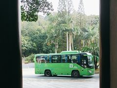 -深圳仙湖植物园