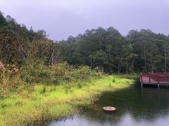 -海南热带雨林国家公园吊罗山景区