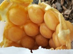 鸡蛋仔-利强记北角鸡蛋仔(弥敦道店 )