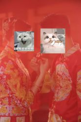 点击看大图 -金夫人婚纱摄影(华南店)