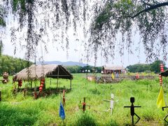 -长兴太湖图影湿地文化园