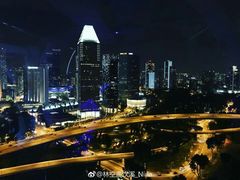 -新加坡文华东方酒店