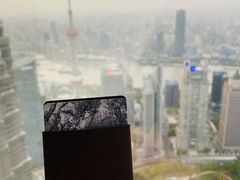 -上海柏悦酒店