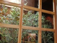 -吟松日式料理(莘庄店)