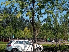 -东郊湿地公园