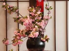 -如禾素食·下午茶·糖水