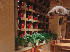 -泥糊破店小酒馆·团建聚餐(南京西路店)