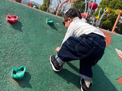 -枫香湖儿童公园