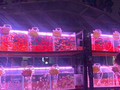 -中环花鸟鱼虫市场