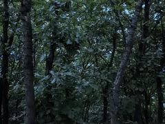 -帽儿山国家森林公园