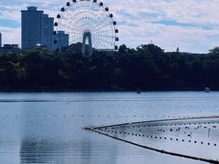 -南宁南湖公园