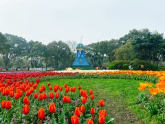 -无锡梅园公园