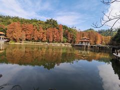 -深圳仙湖植物园