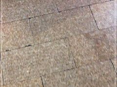 -扬州三头宴(东关街店)